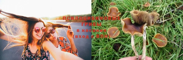 mix Армянск