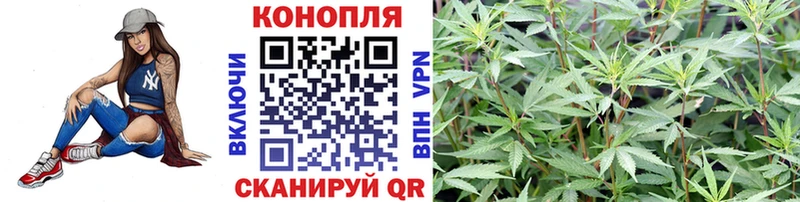 mega ONION  Нолинск  Марихуана White Widow 
